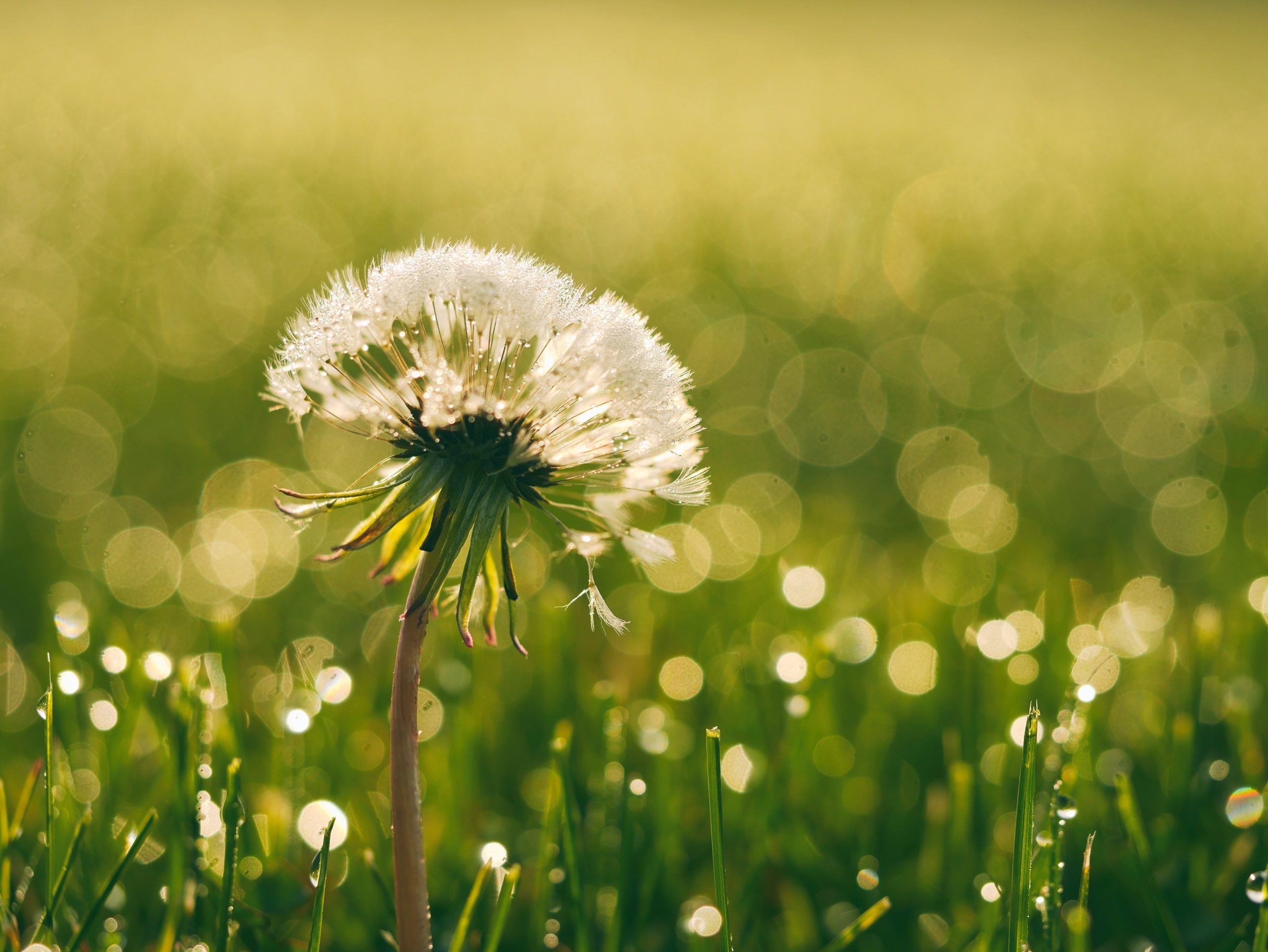 aaron-burden-XxvXRmsH860-unsplash