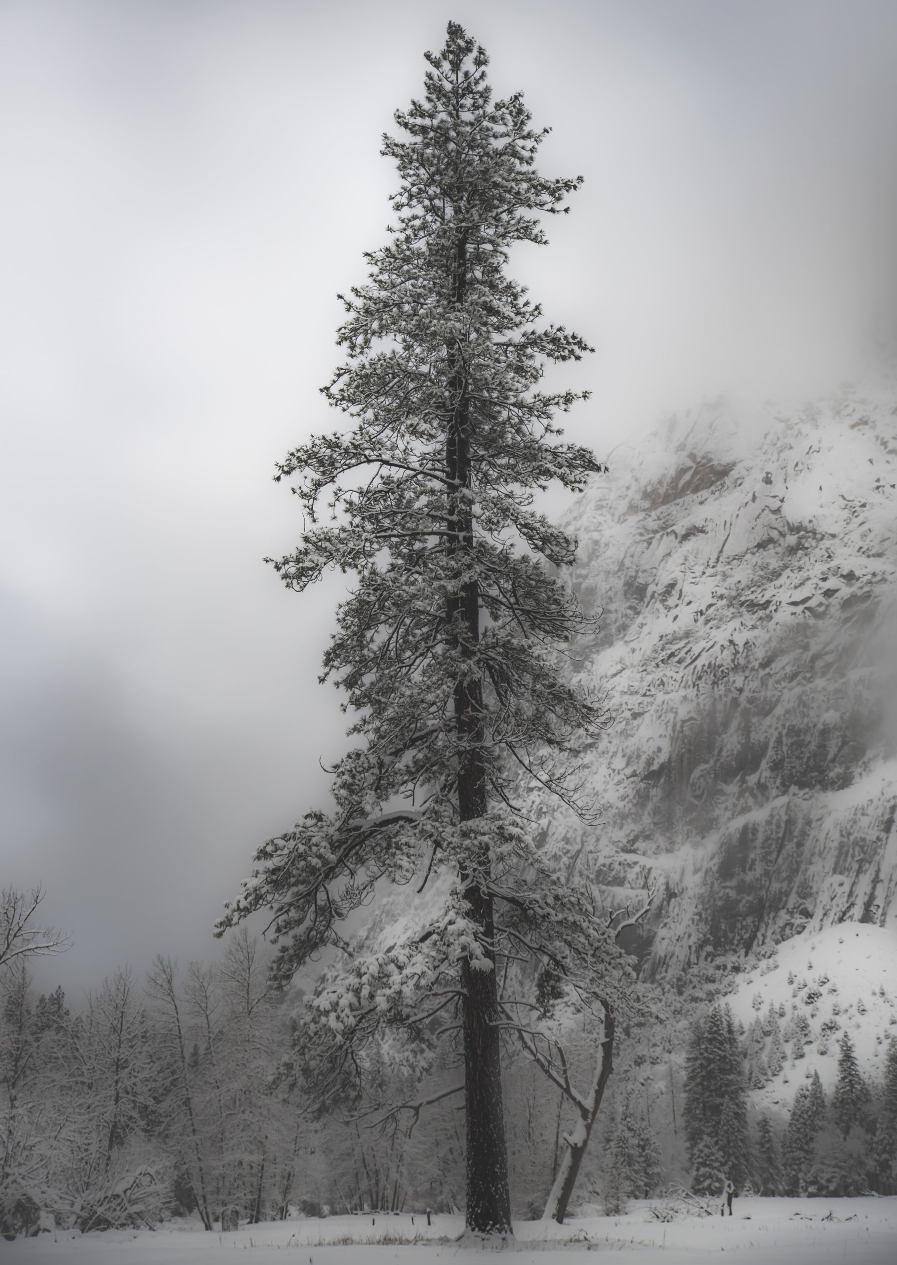 casey-horner-2i230-37L5k-unsplash