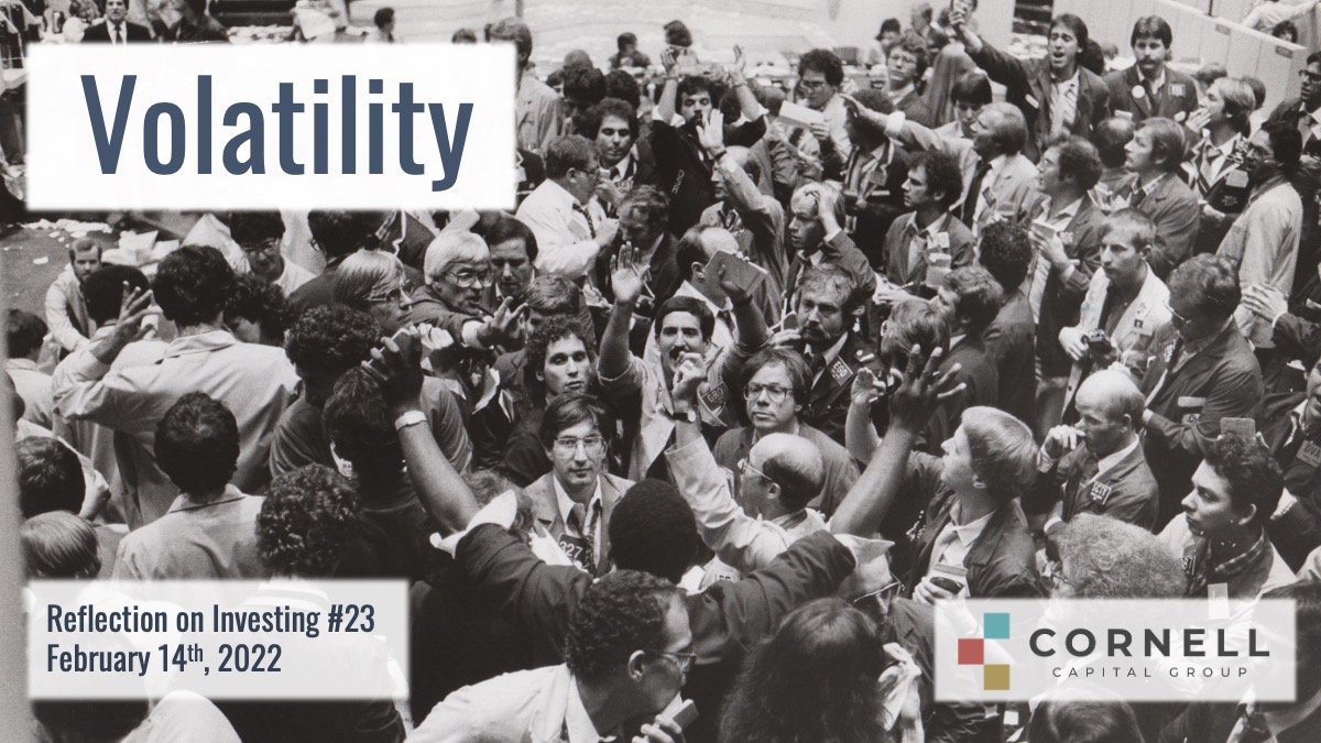 #23 Reflections on Investing : Volatility