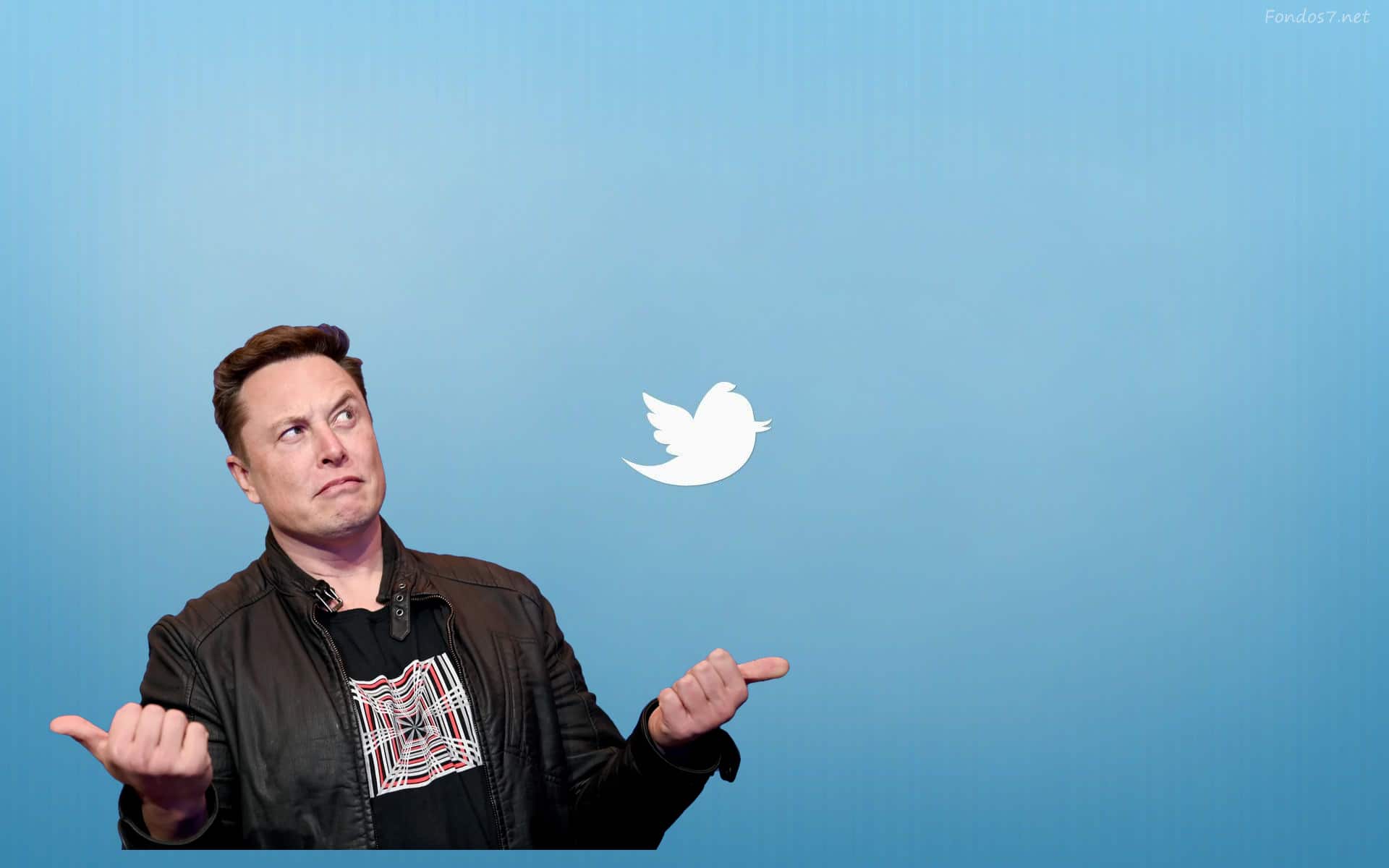 #31 Reflections on Investing : Will Elon Musk Buy Twitter? What Does the Market Think?
